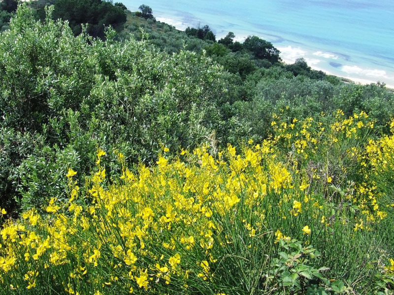 microclimi del parco nazionale del cilento